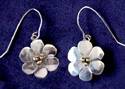 Medium Daisy Earrings
