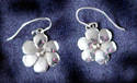 Small Daisy Earrings